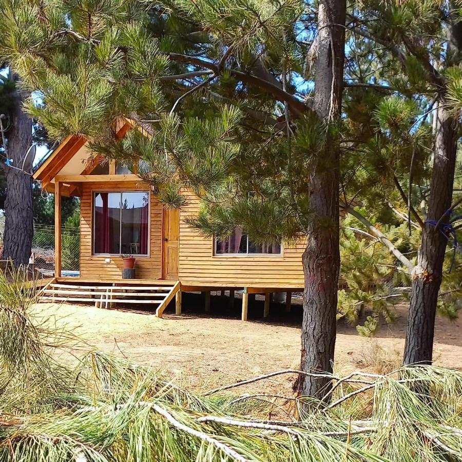 Vistabosque De Camping *