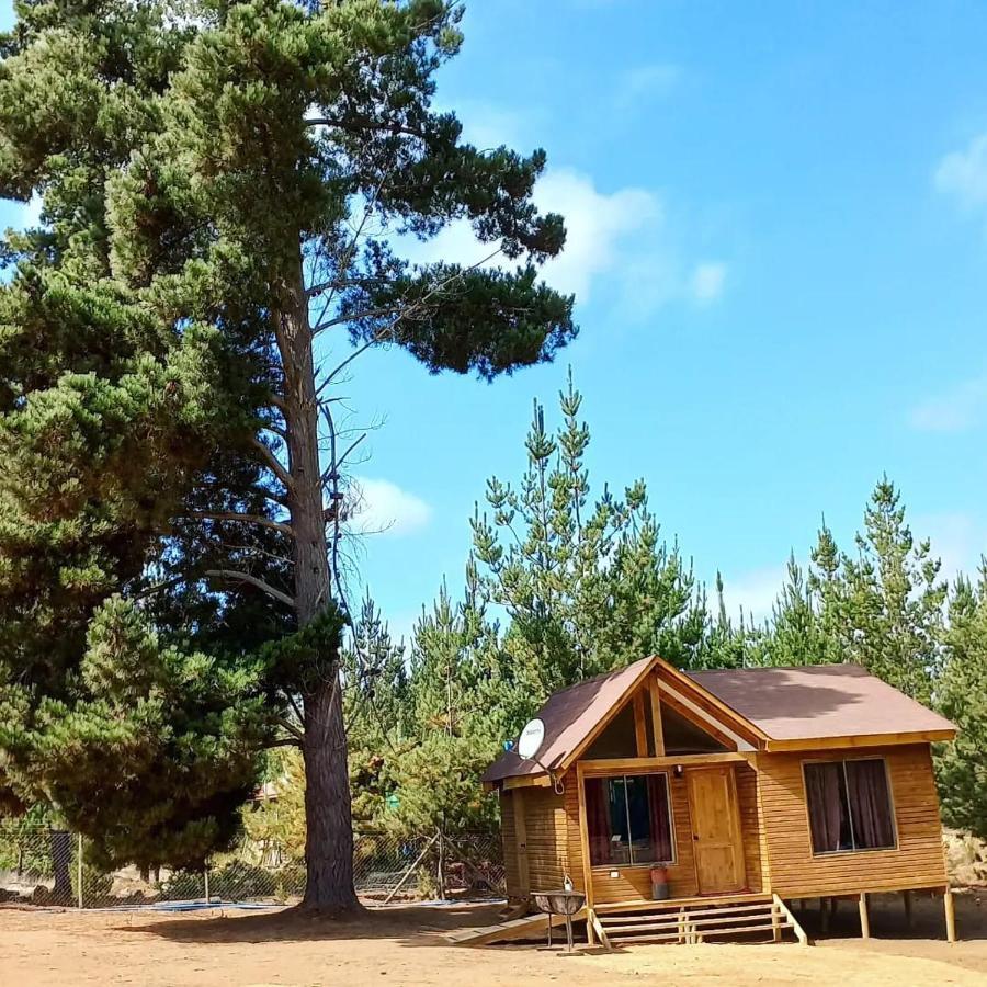 Camping Vistabosque De Algarrobo